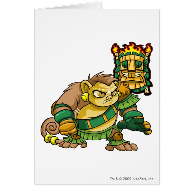 Geheimnis-Insel-Team-Kapitän 1 (Vorne)