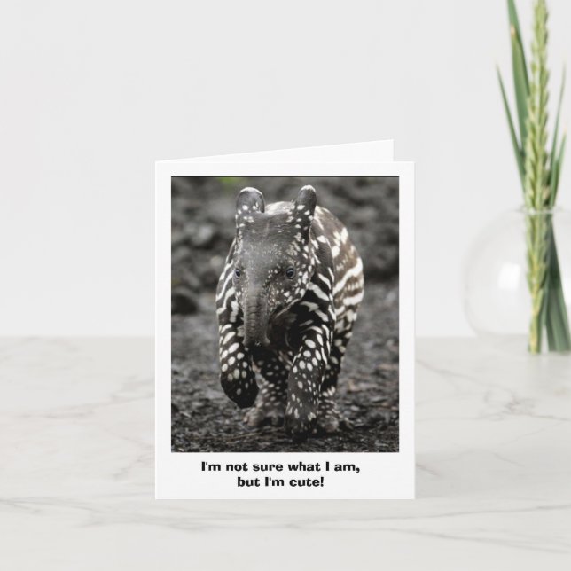 Geheimnis-Lebewesen Karte (Vorderseite)