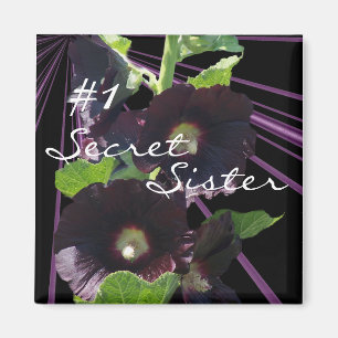 Geheimnis, Schwester Magnet-fertigen besonders an Magnet