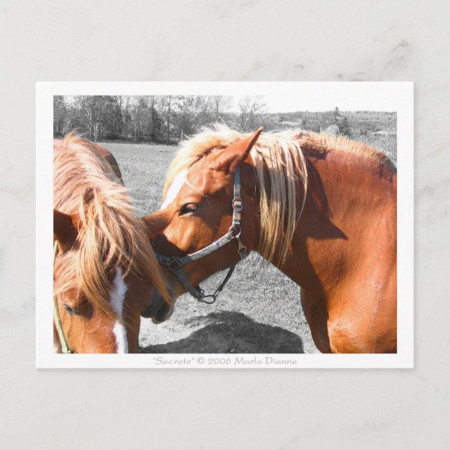 Geheimnisse Postkarte (Vorderseite)