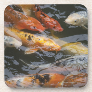 Geheimnistuerische Fische Untersetzer
