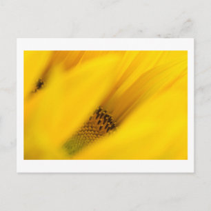 Geheimnisvolle Postkarte