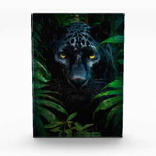 Geheimnisvoller Schwarzer Panther Dschungel Wildti Fotoblock