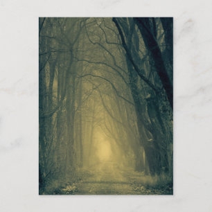 Geheimnisvolles gelbes Licht im Wald Postkarte