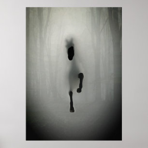 Geheimnisvolles schwarzes Pferd läuft im nebligen Poster