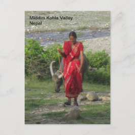 Gehen der Wasser-Büffel Postkarte