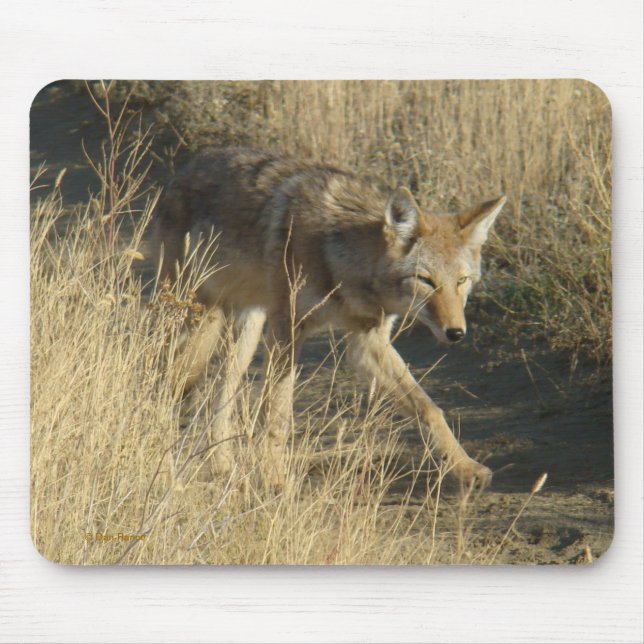 Gehen des Kojote-R14 Mousepad (Vorne)