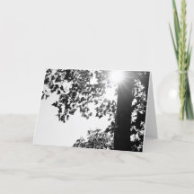 Gehen in die Sun-Anmerkungskarte w/envelop