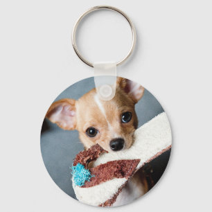 Gehen Reichweite-Chihuahua Schlüsselanhänger