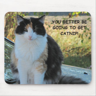 Gehen Sie in den Laden? Funny Cat Meme Mousepad