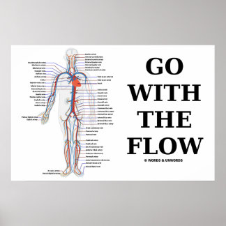 Gehen Sie mit dem Fluss (Kreislaufsystem) Poster