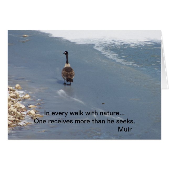 Gehende Gänse: Muir (Vorderseite (Horizontal))