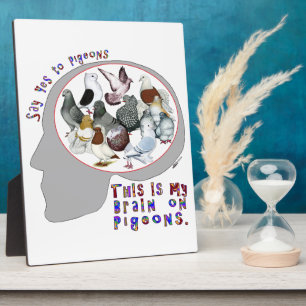 Gehirn auf Tauben Fotoplatte