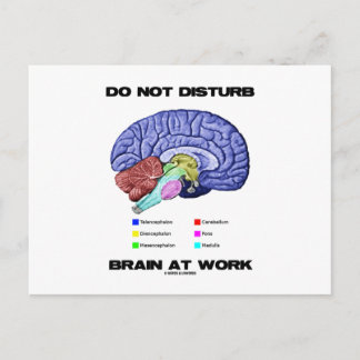 Gehirn bei der Arbeit nicht stören (anatomischer S Postkarte