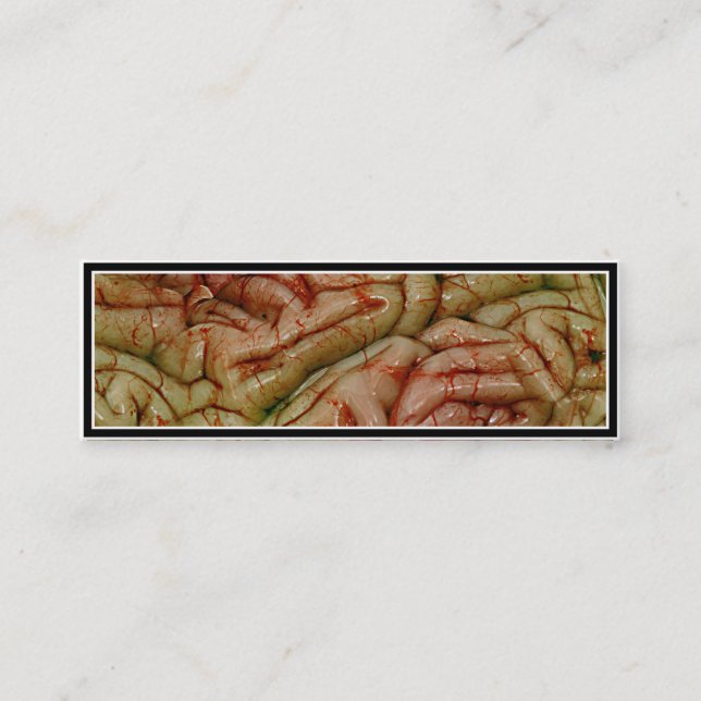 Gehirn, GehirnZZ BRAINZZZ Mini Visitenkarte (Vorderseite)