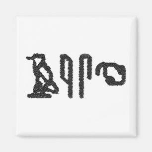 Gehirn Hieroglyphics Magnet