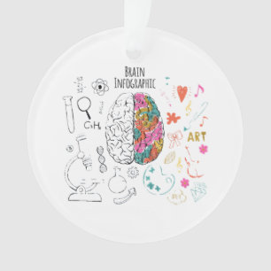 Gehirn Infografik Ornament
