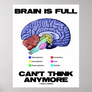 Gehirn ist voll kann nicht mehr denken (Gehirnanat Poster