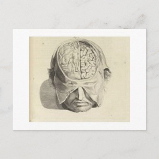 Gehirn Postkarte (Vorderseite)