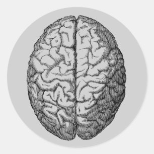 Gehirn Runder Aufkleber