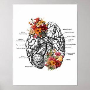 Gehirnanatomie-Blume Anatomische Kunst Poster