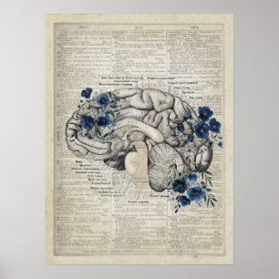 Gehirnanatomie mit Navy Blue Flowers Medical Art Poster