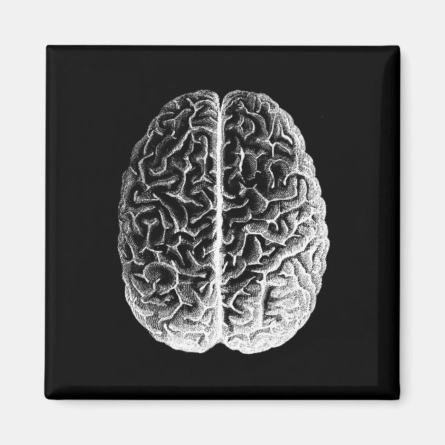 Gehirne! Magnet (Vorne)