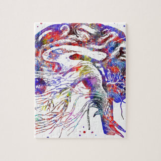 Gehirnschädelnerven, Gehirnschädelnerven Puzzle