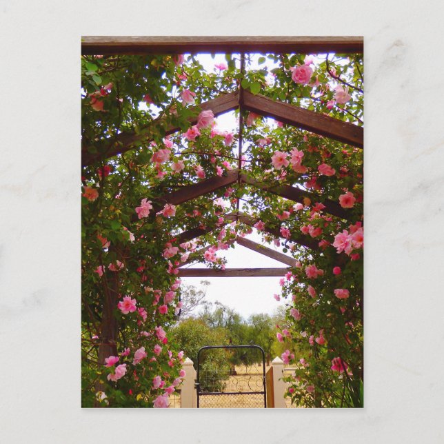 Gehobene Blume Postkarte (Vorderseite)