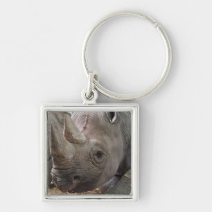 Gehörnter Rhino-Schlüsselanhänger Schlüsselanhänger