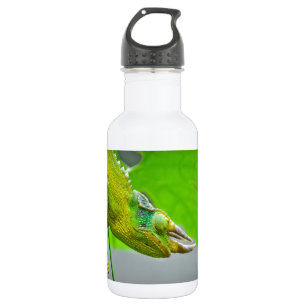 Gehörntes Chamäleon des Riese-3 Trinkflasche