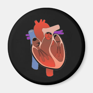 Gehört offen magnet