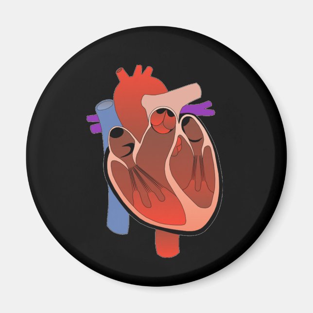 Gehört offen magnet (Vorne)