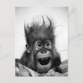 GEHT NICHT PANIK! Postkarte