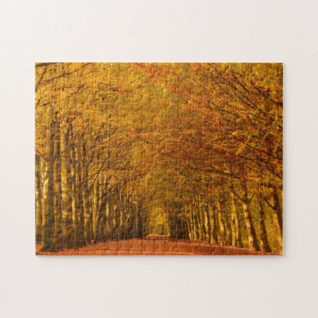 Gehweg durch den Wald im Herbst Puzzle (Horizontal)