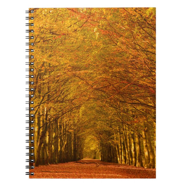 Gehweg durch den Wald im Herbstnotizbuch Notizblock (Vorderseite)