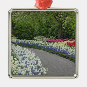 Gehweg durch Tulpen und Narzissen, Silbernes Ornament