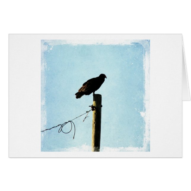 Geier (Vorderseite (Horizontal))