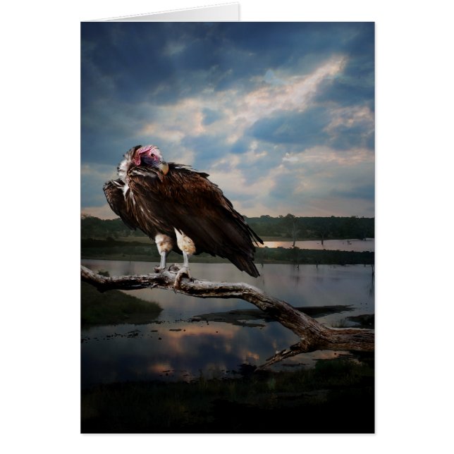 Geier-Fantasie (Vorne)