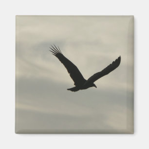 Geier Magnet