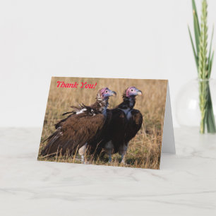 Geier-Paare danken Ihnen zu kardieren Dankeskarte