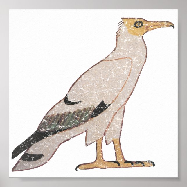 Geier Poster (Vorne)