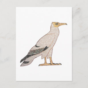 Geier Postkarte