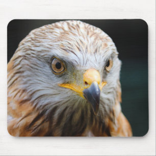 Geier, Wüstengeier, Vogel Mousepad