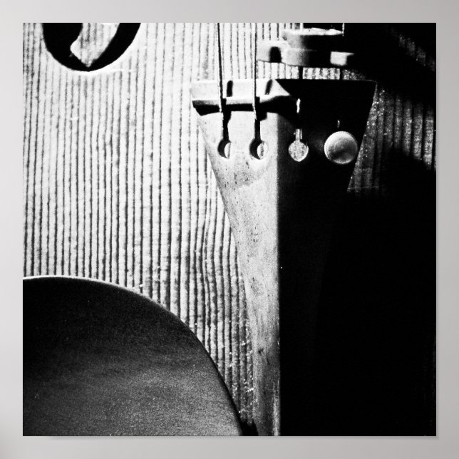 Geigenposter Poster (Vorne)