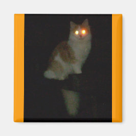 geile Kätzin Magnet