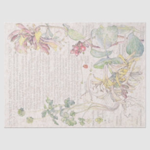 Geißblatt-Wildblume-Blumen-Seidenpapier Seidenpapier