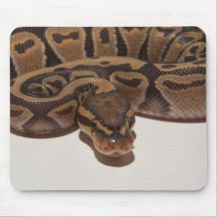 Geist-Ball-Pythonschlange Mousepad