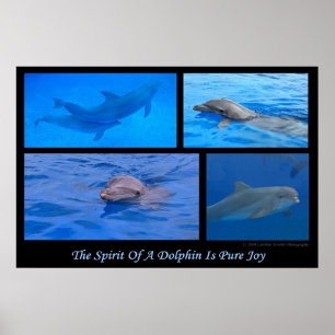 Geist der Dolphin Poster
