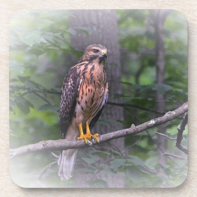 Geist der Falken Getränkeuntersetzer (Vorderseite)